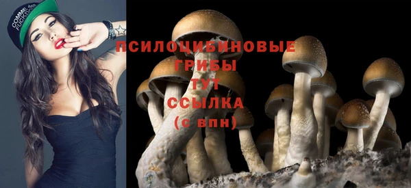 2c-b Алексеевка