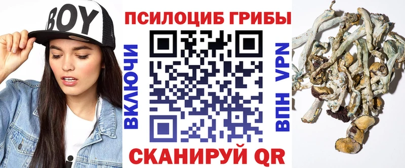 Галлюциногенные грибы GOLDEN TEACHER  Дрезна 
