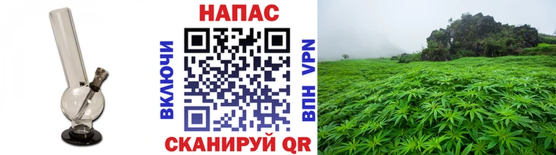 МАРИХУАНА Bruce Banner  Дрезна 